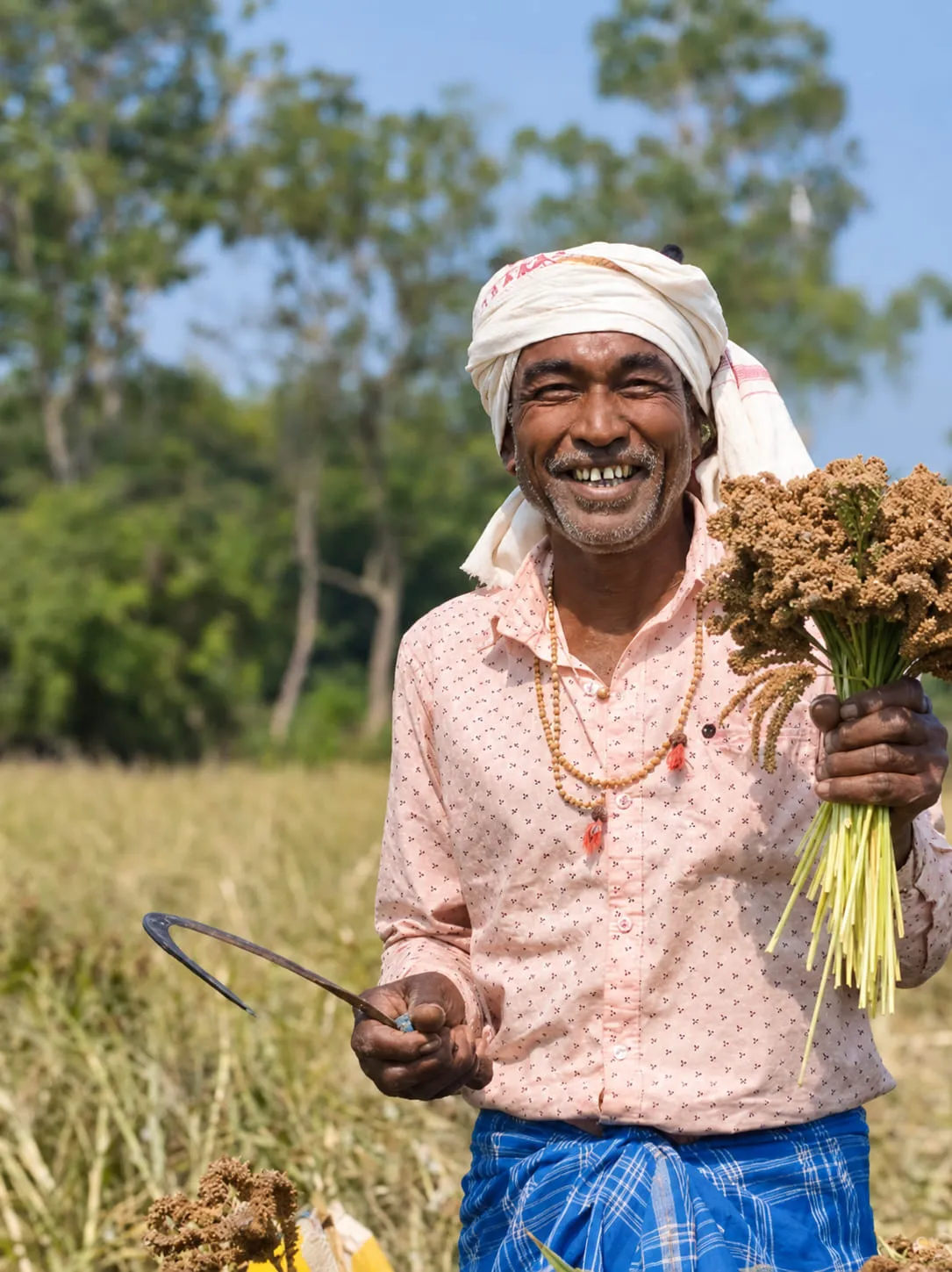 A farmer holding a harvested bundle of millet and a sickle in his field
