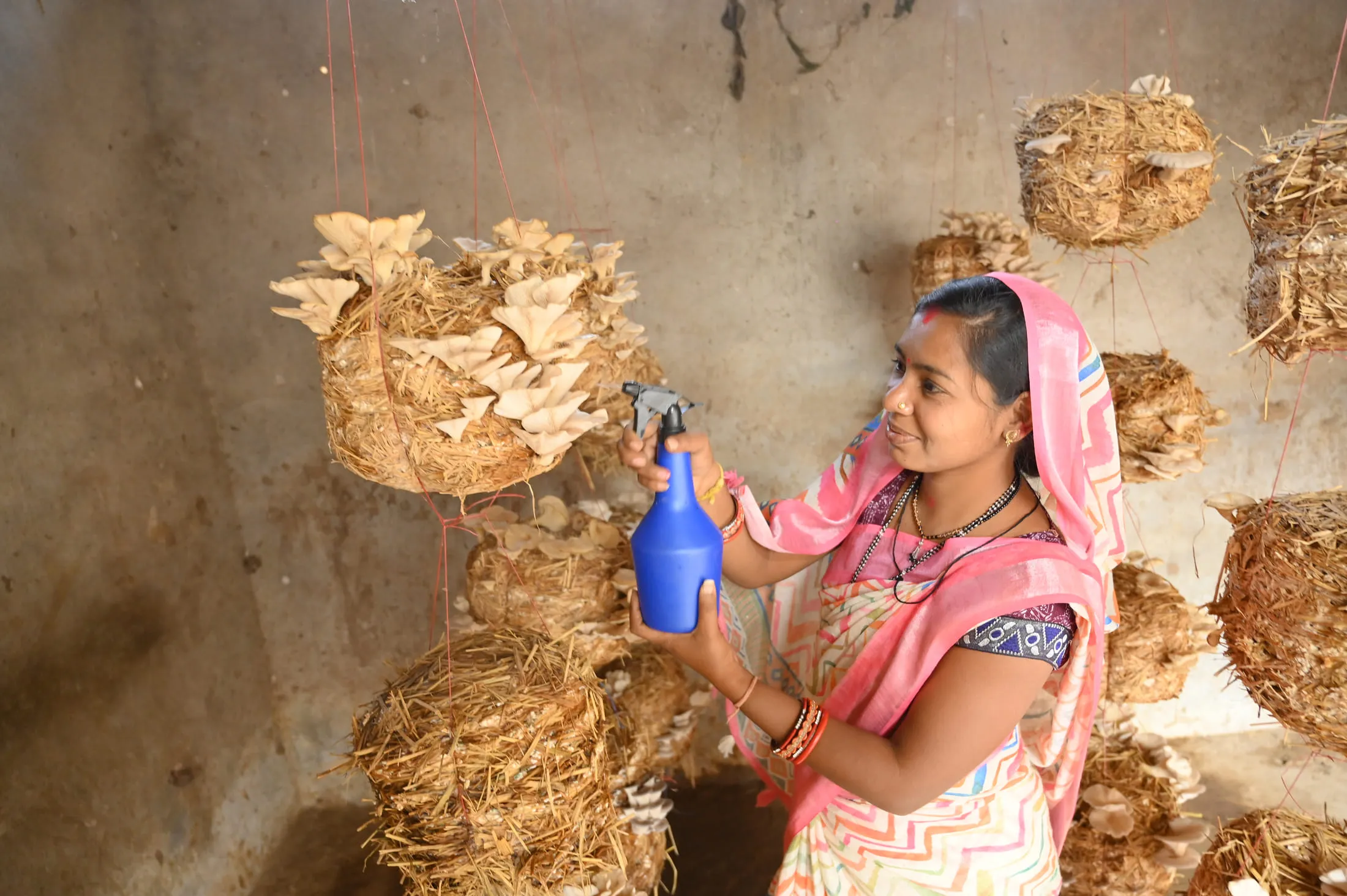 Sustainable Livelihoods