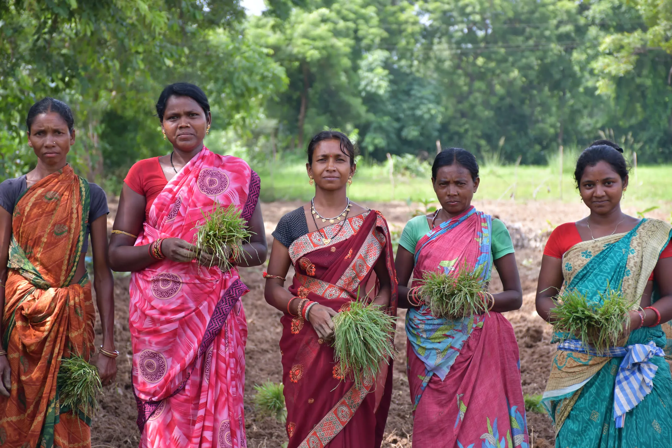 Women of a self-help group holding bundles of millet seedlings ready for transplanting