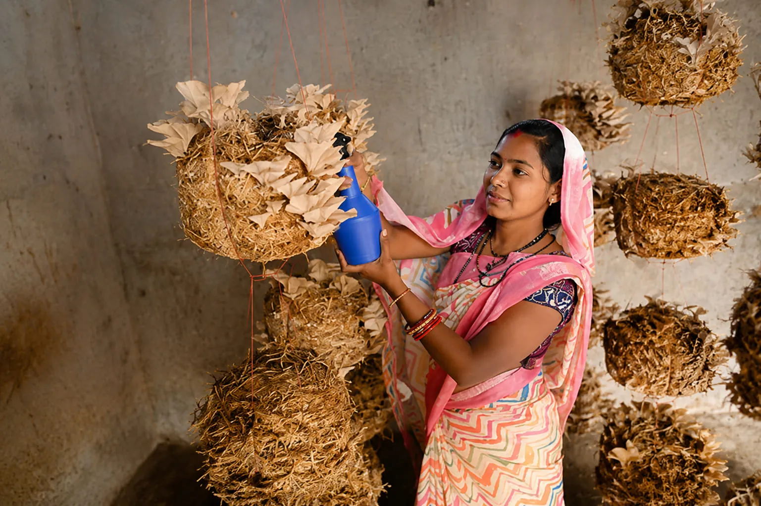 A member of Taranga SHG misting the hanging mushroom beds during the growing cycle