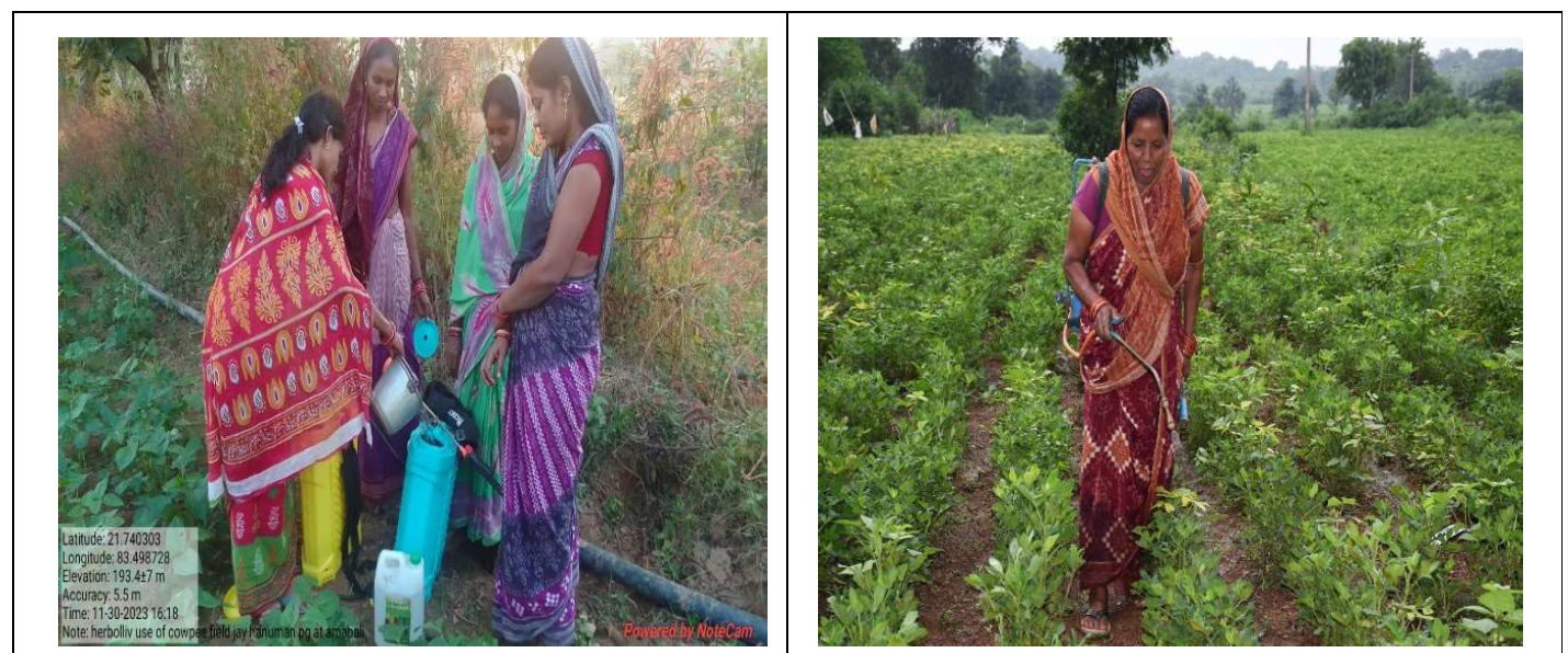 Itishri Deheri’s Success with Herboliv Plus